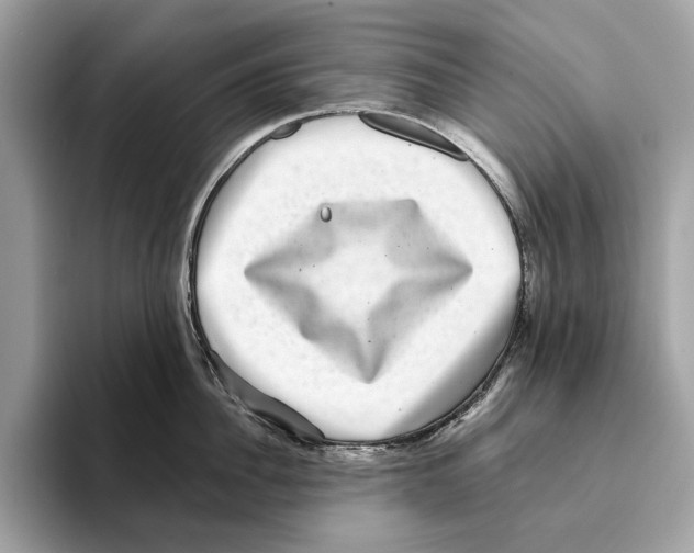 X0000095540956200801111430