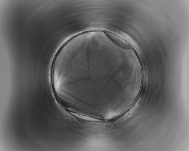 X0000095540958200801111430