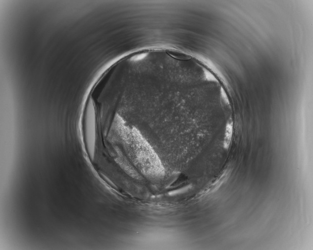 X0000095540959200801111430