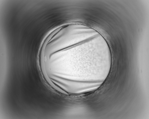 X0000095540960200801111430