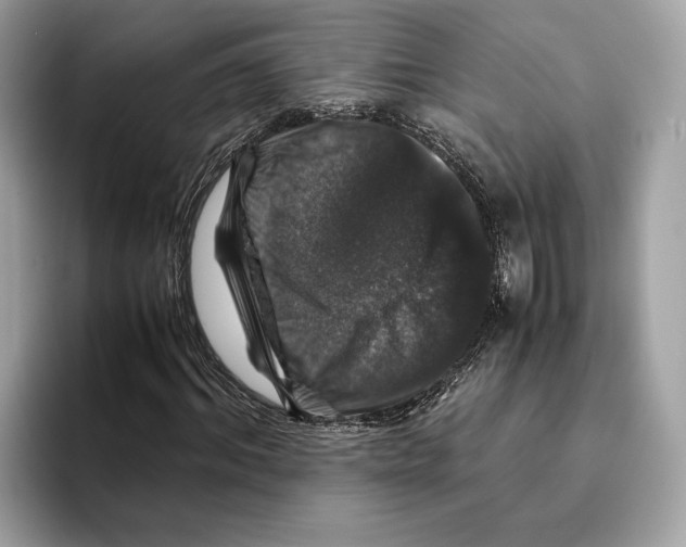 X0000095540964200801111430