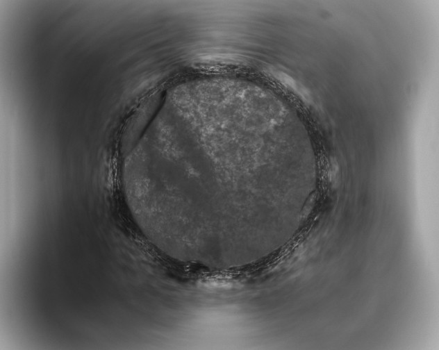 X0000095540965200801111430