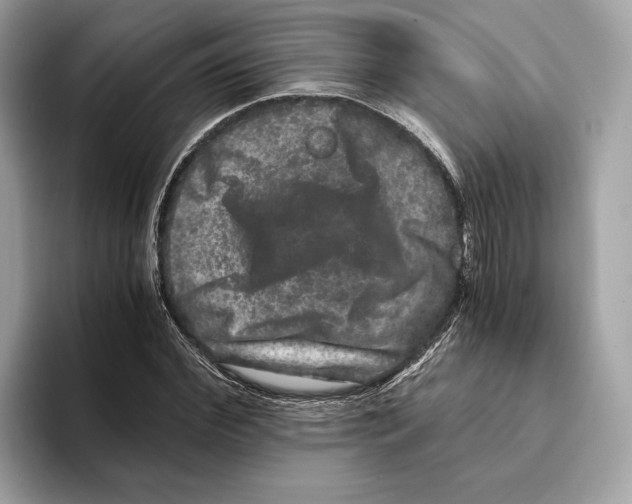 X0000095540972200801111430