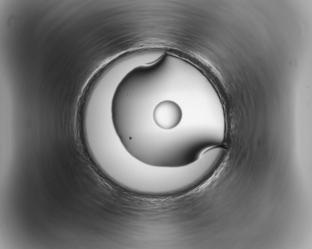 X0000095540973200801111430