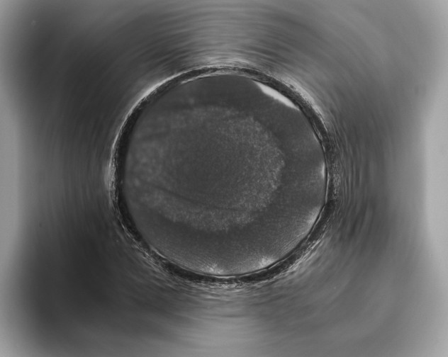 X0000095540975200801111430