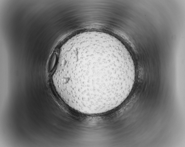 X0000095540978200801111430