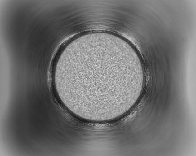 X0000095540979200801111430