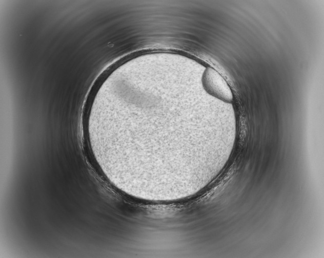 X0000095540980200801111430