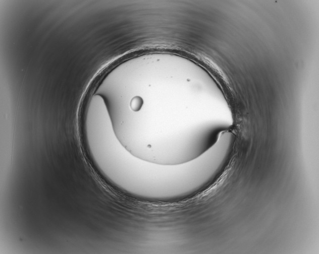 X0000095540981200801111430