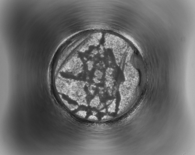 X0000095540983200801111430