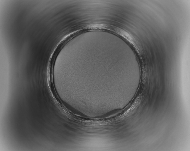 X0000095540984200801111430