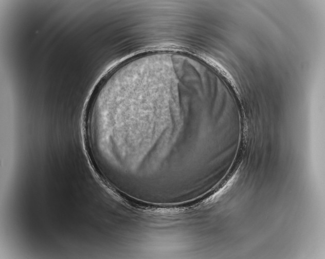 X0000095540989200801111429