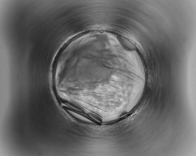 X0000095540992200801111429