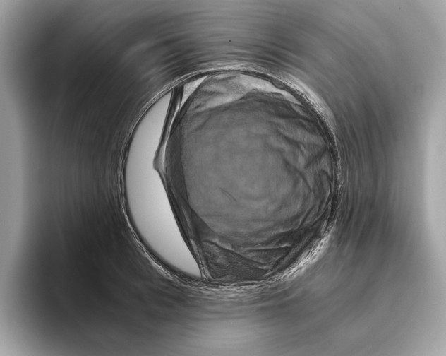 X0000095540993200801111429