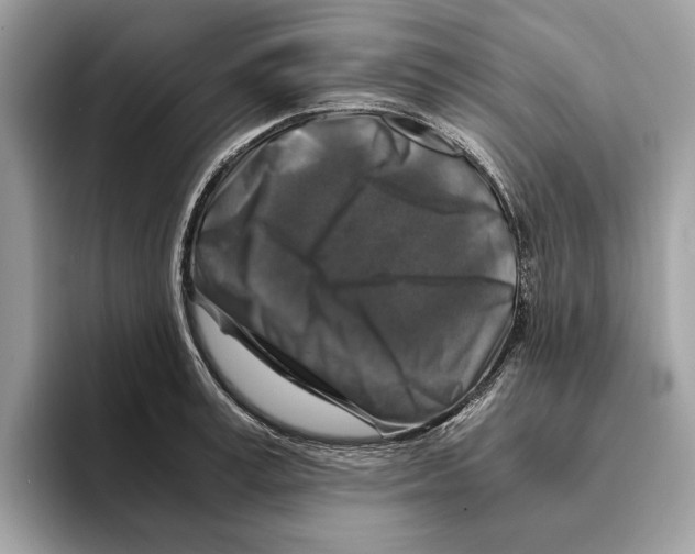 X0000095540995200801111429