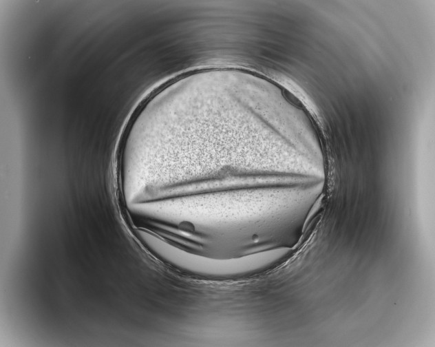 X0000095540996200801111429