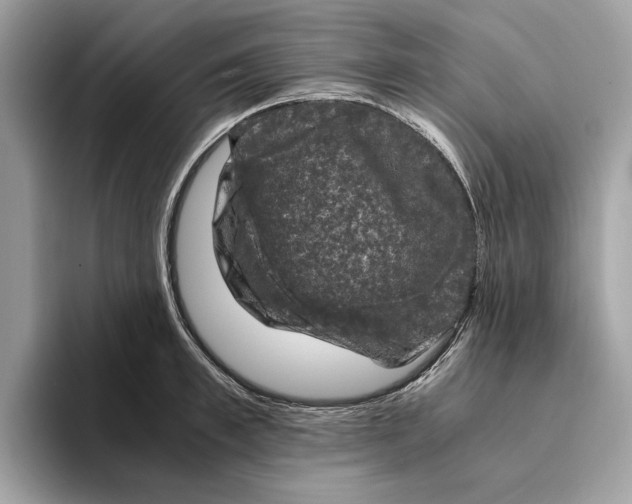 X0000095540997200801111429