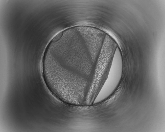 X0000095540999200801111429