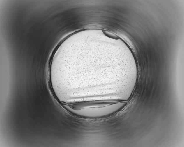 X0000095541000200801111429