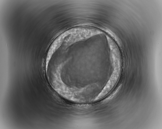 X0000095541001200801111429