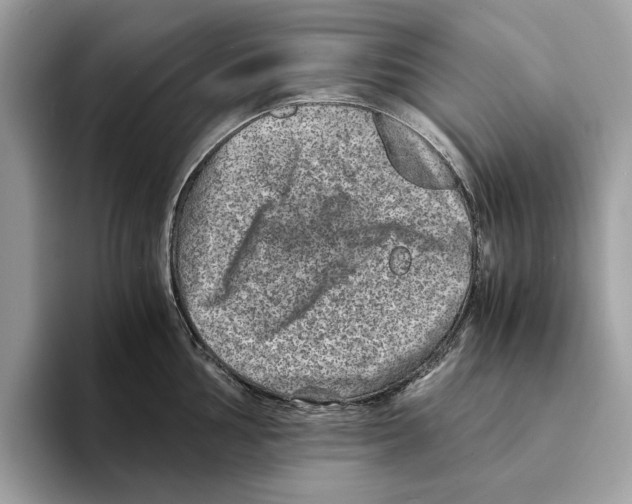 X0000095541002200801111429