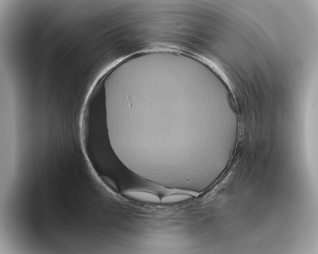 X0000095541003200801111429