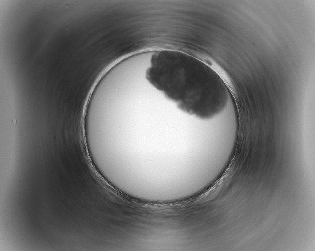 X0000095541004200801111429