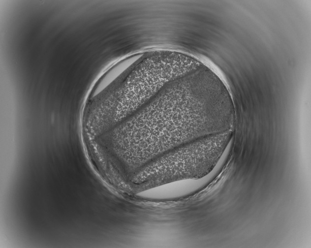 X0000095541005200801111429