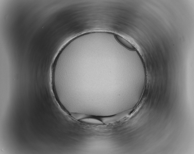 X0000095541006200801111429