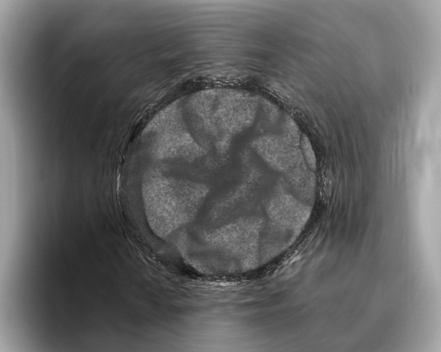 X0000095541010200801111429