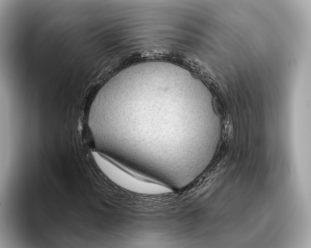 X0000095541012200801111429