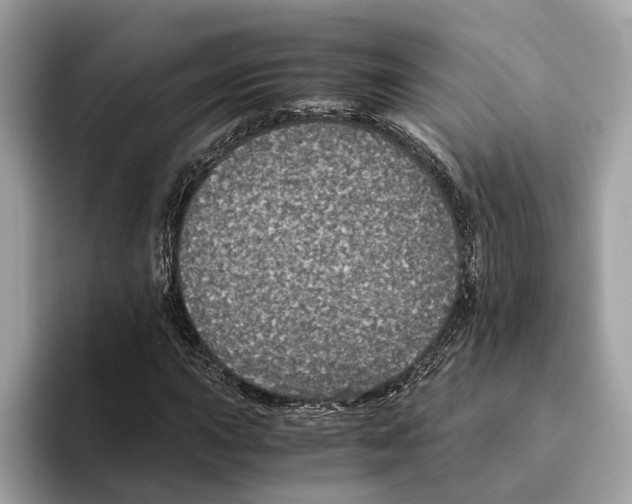 X0000095541015200801111429