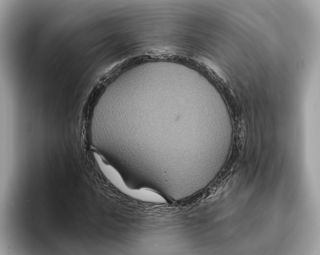 X0000095541016200801111429