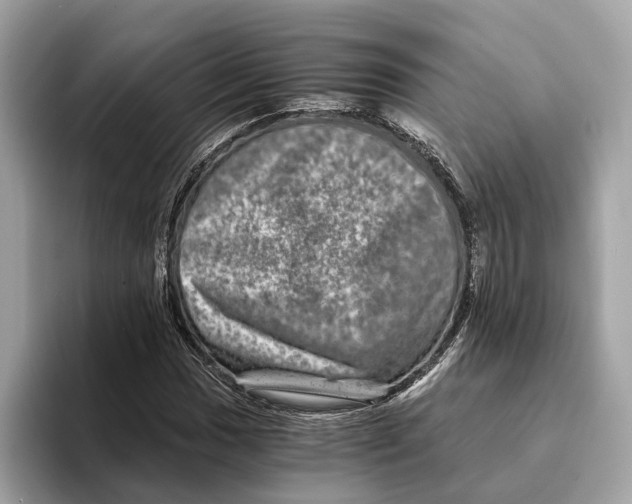 X0000095541017200801111429