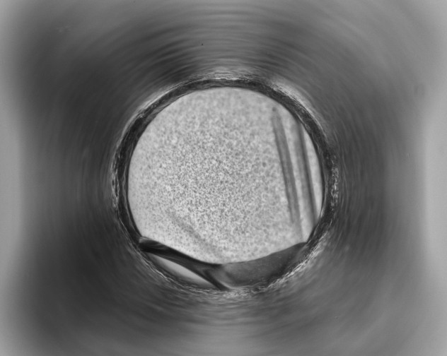 X0000095541018200801111429