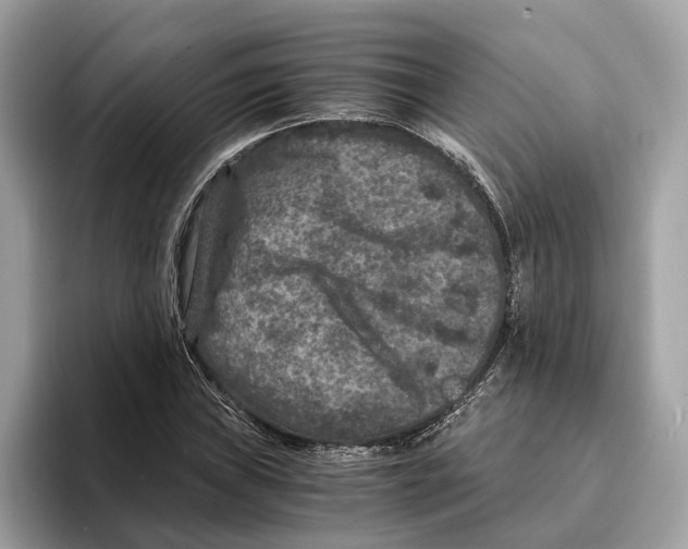 X0000095541019200801111429