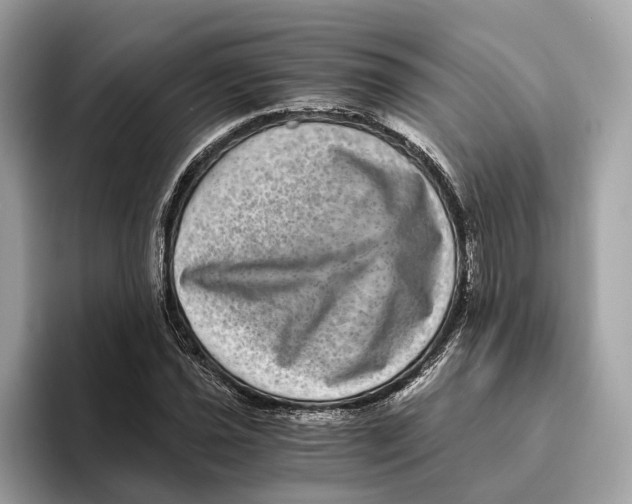 X0000095541021200801111429