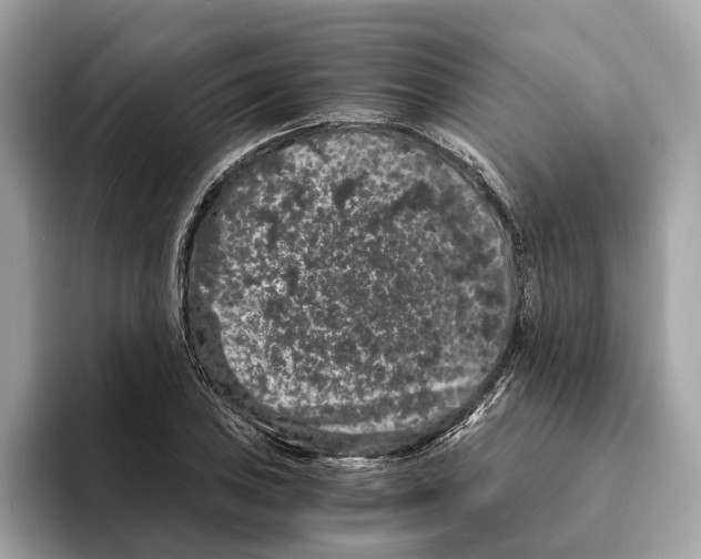 X0000095541027200801111429