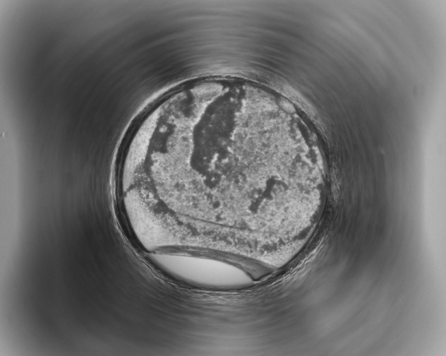 X0000095541028200801111429