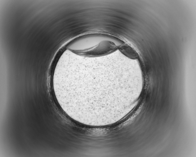 X0000095541029200801111429