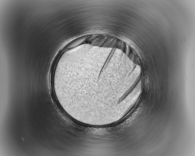 X0000095541030200801111429