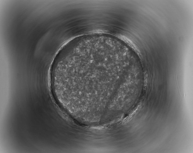 X0000095541031200801111429