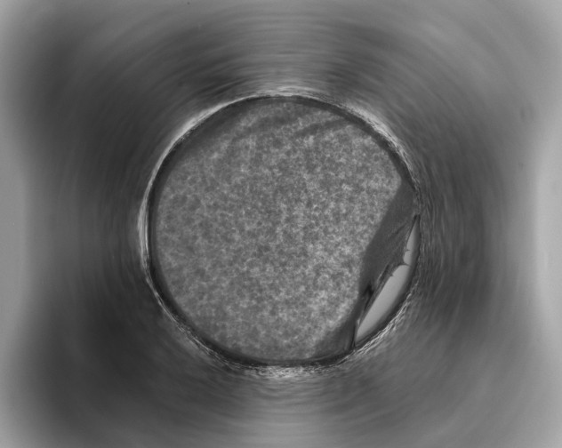 X0000095541032200801111429