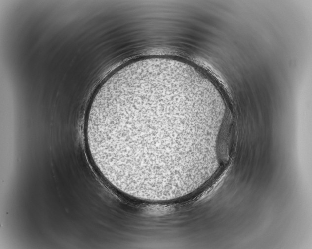 X0000095541033200801111429