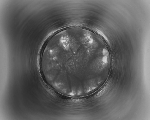 X0000095541035200801111429