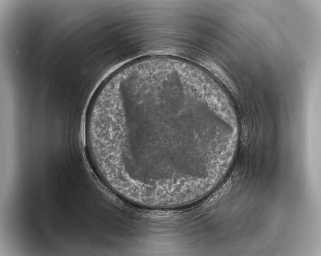 X0000095541036200801111429