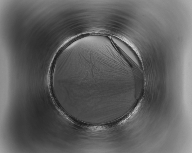 X0000095541037200801111429