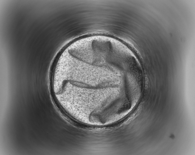 X0000095541038200801111429