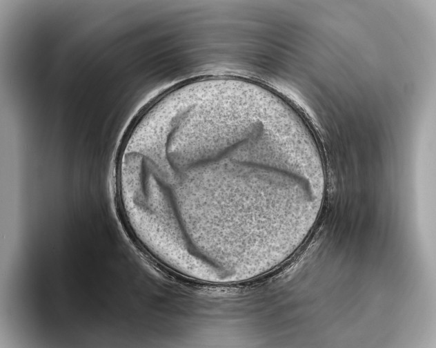 X0000095541040200801111429