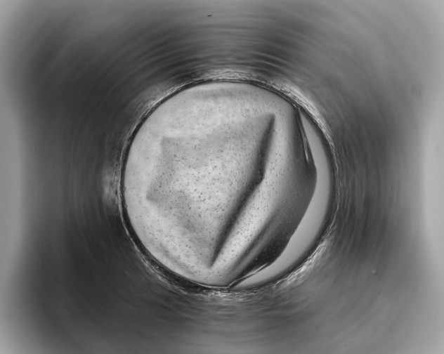 X0000095541041200801111429